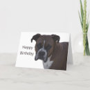 Search for boxer birthday cards Happy
