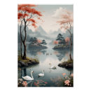 Search for swan bird posters Water