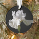 Search for iris christmas tree decorations Bouquet