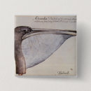 Search for beak badges White