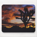 Search for joshua tree mousepads Sunrise