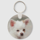 Search for white puppy key rings Adorable