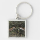 Search for acacia tree key rings Africa