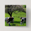 Search for agricultural badges France