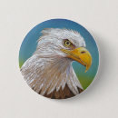 Search for bald eagle badges Wildlife