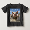Search for swimming pig Bahamas swimming pigs