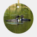 Search for loon christmas tree decorations Lake