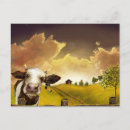 Search for saskatchewan postcards Farm
