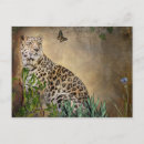 Search for leopard pattern postcards Wildlife