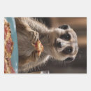 Search for meerkat wrapping paper Suricata