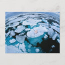 Search for arctic ocean postcards Ice