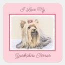 Search for yorkshire terrier stickers Yorkie