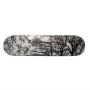 Search for snow skateboards Tree