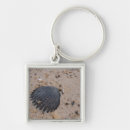 Search for scallops key rings Ocean