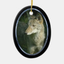 Search for coyote christmas tree decorations Nature