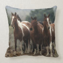 Search for mustang cushions Bob langrish