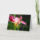 Search for your friendship is a blessing cards Spiritual