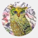 Search for owl painting stickers Animal