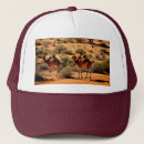 Search for outback hats Wildlife