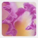 Search for hybrid stickers Pink