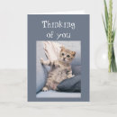 Search for funny clothing postcards Thinking of you