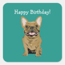 Search for french bulldog stickers Birthday
