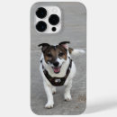 Search for russell iphone cases Terrier