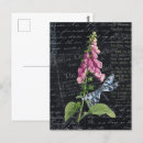 Search for vintage butterfly postcards Nature