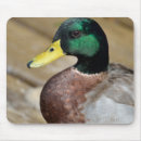 Search for beaks mousepads Animal