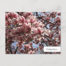 Search for customizables postcards For her