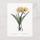 Search for vintage birthday postcards Floral