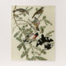 Search for audubon birds puzzles Illustration
