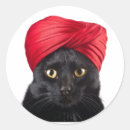Search for bombay stickers Cat lover