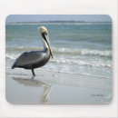 Search for pelicans mousepads Ocean