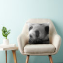 Search for giant panda cushions Animals in the wild
