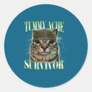 Search for funny cat sayings stickers Cool
