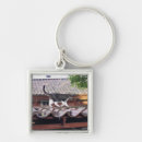 Search for shed key rings Animal