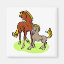 Search for equine magnets Foal