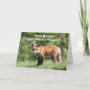 Search for carnivore cards Predator