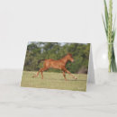 Search for chestnut horse cards Bob langrish