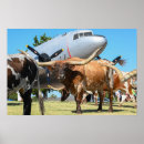 Search for dc 3 posters Aviation