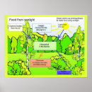 Search for photosynthesis posters Educational