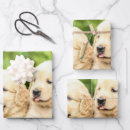 Search for golden retriever wrapping paper Happy
