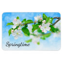Search for springtime magnets Blue