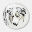 Search for aussie shepherd magnets Australian