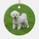 Search for bichon christmas tree decorations Green