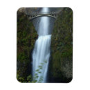 Search for motion pictures magnets Colour image