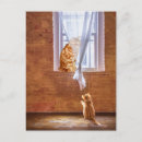Search for marmalade postcards Kitten