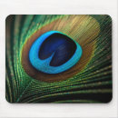 Search for peafowl electronics Peacock feather
