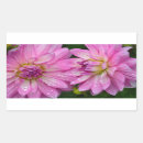 Search for dahlia blossom stickers Floral